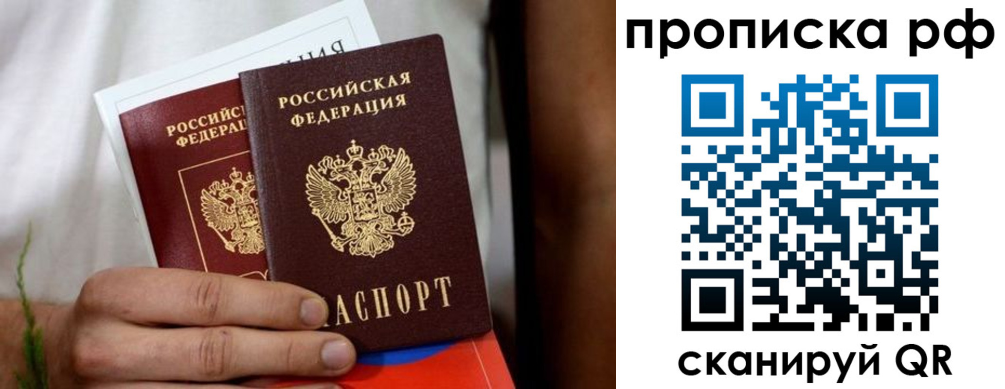 прописка в квартире в Димитровграде